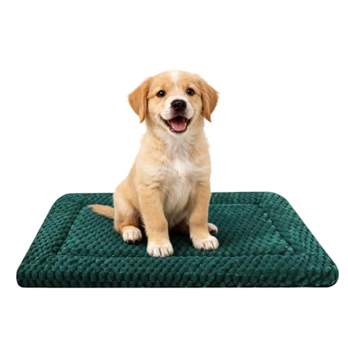 Dog Bed Mat,Reversible & Ultra Soft Kennel Pad-Machine Washable Pet Bed for Dogs & Cats-All-Weather Crate Liner for Crates,Carriers & Travel (Dark Green, 24" L x 18" W x 1.5" Th) - color: Dark Green, size: 24.0"L x 18.0"W x 1.5"Th