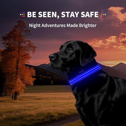 LED Dog Collar with Metal Buckle - USB Rechargeable Glow Collar for Dogs, Waterproof Light Up Dog Collar w/Reflective Strips - Adjustable Night Safety Collars by PetIsay(Blue,Medium) - color: Blue(Fiber optic version), size: Medium (14½ " - 19½ " )