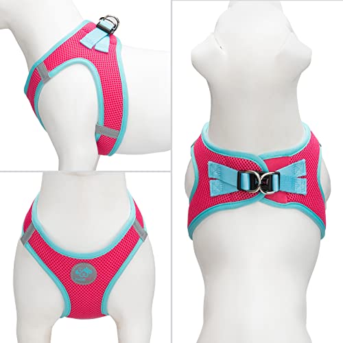 PHOEPET Step-in Dog Harness,Reflective Adjustable Dog Vest Harness, Soft Pet Walking Jacket with 2 Metal Leash Hooks for Dog and Cat(Pink Base & Green Straps,XS) - color: Pink Base & Green Straps, size: XS (Neck: 9-10”,Chest: 11.5-13”)