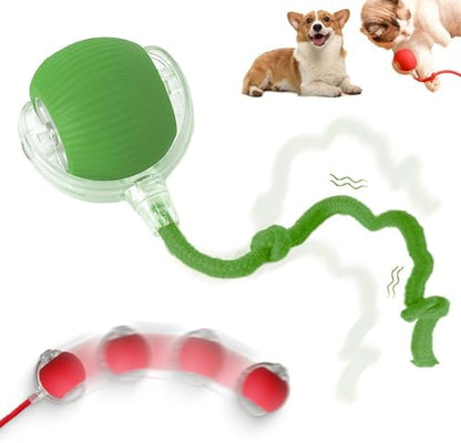 Interactive 2025 Upgraded Version Dog & Cat Toy, Intelligent Automatic Rolling Ball (Green) - color: Green