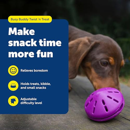 PetSafe Busy Buddy Twist 'n Treat Dispensing Dog Toy - Small - size: Small (Pack of 1)