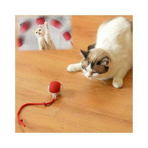 Interactive Cat Toys for Indoor Cats, Agility Move Cat Balls,Motion Activated Cat Balls, Cat Toys for Bored Indoor Cats（Red） - color: Red