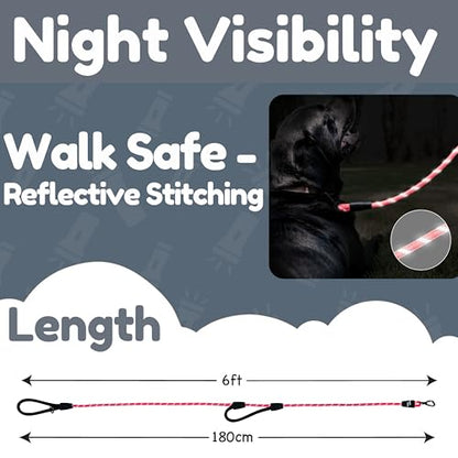 6 Foot Dog Leash, Two Extra Padded Handles, Locking Carabiner Clip, Reflective for Night Visibility, Weatherproof, Heavy Duty Rope Leash, Roam Gear (Pink) - color: Pink
