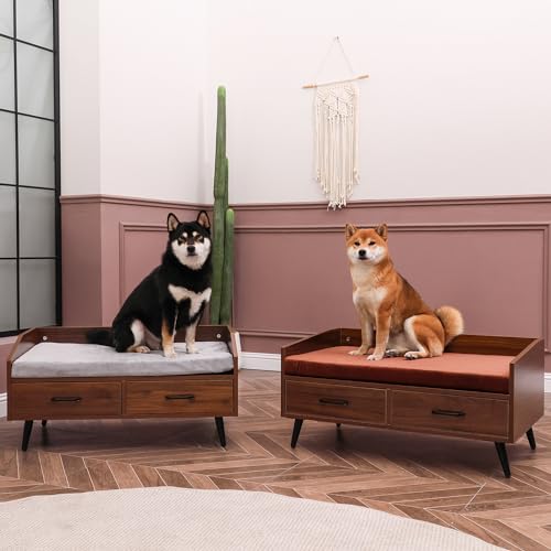 Elevated Dog Bed for Small to Medium Dogs – 32” x 21” Indoor Wooden Pet Sofa with Soft Cushion, Mid-Century Modern Style, Sturdy & Stylish (Walnut) - color: Grey