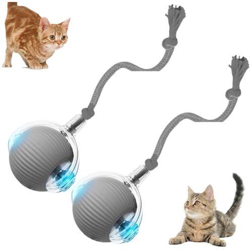 Interactive Cat Toy Balls, Interactive Cat Toys Balls for Indoor Cats 2026 New Motion Activated Cat Ball with 360° Smart Automatic Rolling Moving for Bored Kitten Pet Cats Dogs (Grey, 2pcs) - color: Grey, size: 2pcs