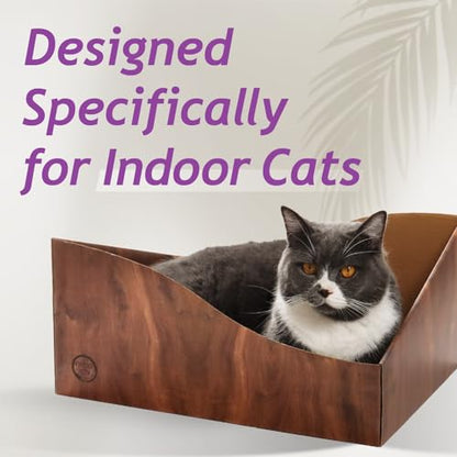 Necoichi Hideaway Cat Scratcher Box — Extra Large | Horizontal Scratch Pad + Lounger + Hideaway for Indoor Cats | 100% Recycled Cardboard, Chemical-Free - color: Dark Cherry