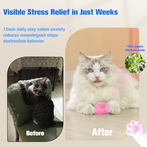 2 Pcs Speedy Tail, Interactive 2.0 Cat Toy Ball for Indoor, Automatic Speedy Sprint Balls and Chirping Ball, Self Play Hunting Rolling Kitty Kitten Catnip Exercise Toys - color: Blue+Pink