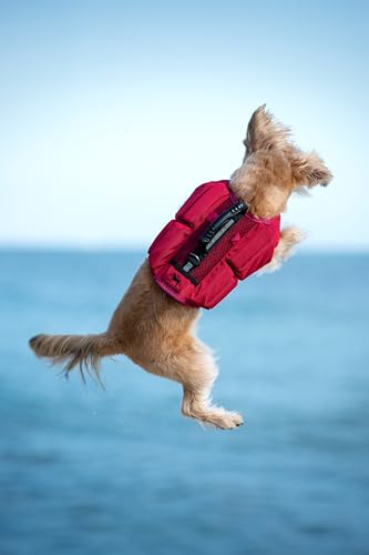 NOAH & PAW Dog Life Jacket, Human Standards Lifejacket Design, Dog Life Vest for Swimming and Boating, 3X Foam Support for Max Floating, Breathable Mesh, Salvavidas para Perros, Size S - size: S