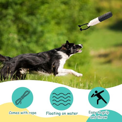 Blueweenly 4 Pcs Dog Bumper Toy for Water Retrieving Plastic Puppy Training Dummy Dog Float Toy Lightweight for Float on The Water Pool Outdoor Training Hunting Fetching (Black and White) - color: Black and White