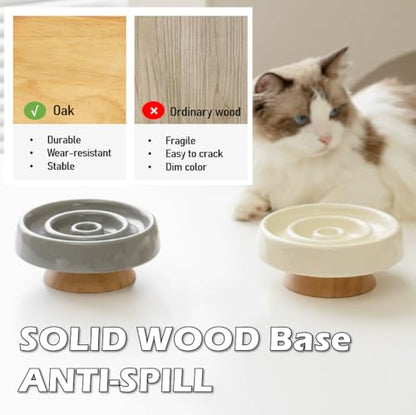 Ceramic Cat Slow Feeder, Raised Slow Feeder Cat Bowl, Anti Vomiting and Whisker Friendly Kitty Dish, Elevated Puppy Kitten Bowl for Dry and Wet Food (Gray) - color: Gray