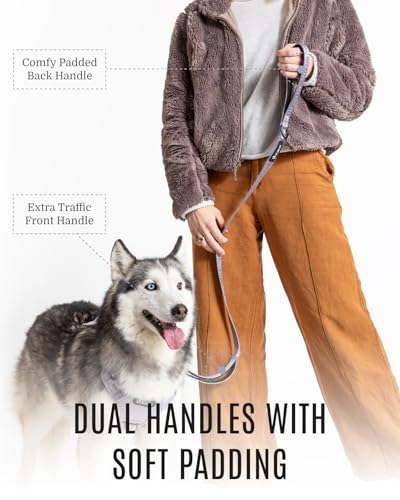 Fei & Eve Classic Dog Leash - 4FT, Dual Padded Handles, 360° Swivel Hook, Heavy Duty 210D Nylon - No-Pull Design with Traffic Control Handle - for Small/Medium/Large Dogs, Gray - color: Twilight Gray, size: 4FT