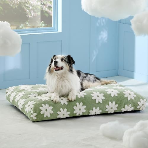 LE SURE XLarge Dog Bed-Thick Shredded Chopped Foam Pet Bed Indoor with Removable Cover, Cute Modern Fuzzy Plush & Anti Slip Bottom, Green - color: Green, size: 41.0"L x 28.0"W x 4.0"Th