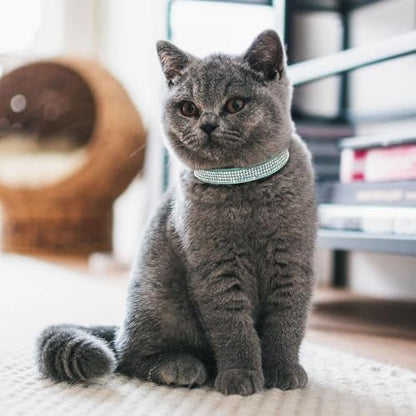 Soft Velvet Cat Collars, Breakaway Rhinestone Cats Collars with Bell Adjustable Pet Collar for Kitten Puppy Small Dogs and Cats(S,Blue) - color: blue, size: S