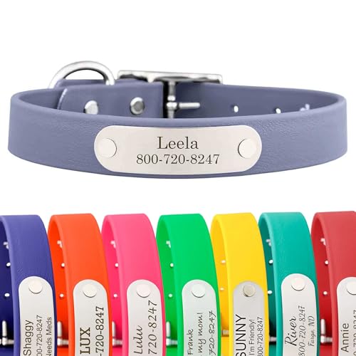 dogIDs Personalized Dog Collar – Custom Waterproof Soft-Grip Biothane with Laser-Engraved Nameplate, Durable & Odor-Resistant, USA Made | Grey, 1 in x 16 in (Fits Necks Size 14-18 in) - color: Grey, size: 1 in x 16 in (Fits Necks Size 14-18 in)