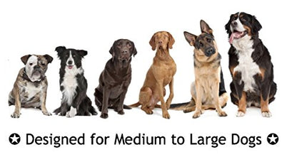 Mary & Kate Pets XL Dog Rope TUG Toy Set - for Aggressive CHEWERS and Big Puppies - Sturdy, Strong and Heavy Duty to Withstand Puppy Biting and Chewing (L, Multi Color)