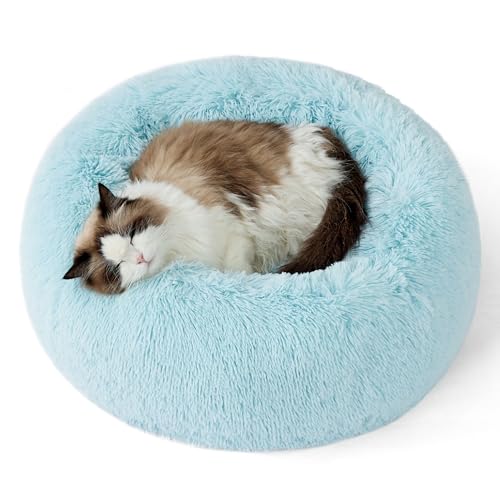 Bedsure Calming Cat Beds for Indoor Cats - Small Cat Bed Washable 20 inches, Anti-Slip Round Fluffy Plush Faux Fur Pet Bed, Fits up to 15 lbs Pets, Aqua Blue - color: Aqua Blue, size: 20"L x 20"W x 6"Th