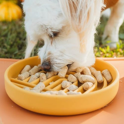 Should We Go? Slow Feeder for Dogs & Cats, The Slowdown Bowl Silicone Slow Eating Mealtime Solution with Modern Lick Mat Design, Reduces Gulping, Fits 1 Cup, 6” Across x 1.25” Tall, Small-Honey - color: Honey - Rainbow Design, size: Small (6” Across x 1.2