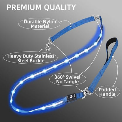 Light up Dog Leash for Night Walking - USB C Rechargeable - Waterproof - Dog Leashes with Flashlight - LED Leash for Dogs - 6Ft, Blue - color: Blue