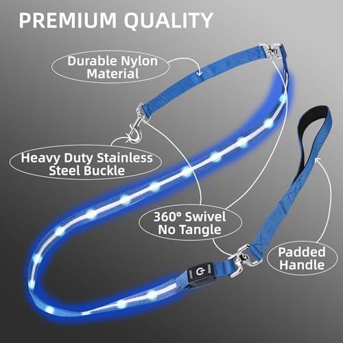 Light up Dog Leash for Night Walking - USB C Rechargeable - Waterproof - Dog Leashes with Flashlight - LED Leash for Dogs - 6Ft, Green - color: Green