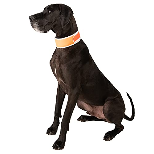 CoolerDog Hi-Vis Cooling Dog Collar for X-Large Dogs – Reflective Re-Freezable Ice Collar for Hot Weather & Heat Relief (Orange, X-Large) - size: X-Large