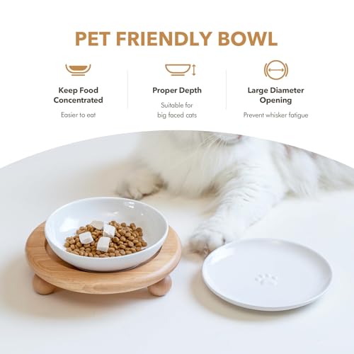 Havniva Cat Bowls Elevated 5.6” Ceramic Cat Bowl with Stand Whisker Friendly Cat Dishes, Cat Food & Water Bowl Set with Two Heights Options, Raised Cat Food Plates for Kitten Anti-Slip Pet Bowls - color: 1 Bowl+1 Shallow Dish+Stand- White