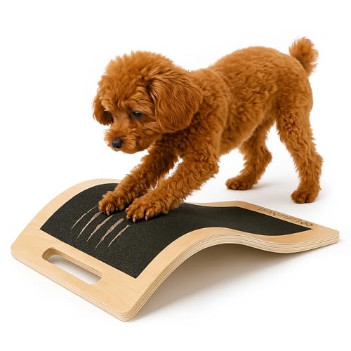 Dog Scratch Board for Nails – Dog Nail Scratch Pad with 2 Extra Sandpapers & Training Guide – Safe Dog Nail File Board for Natural Trimming – Dog Nail Board for All Sizes (Small 15.7in * 9.8in) - size: Small (15.7in * 9.8in)