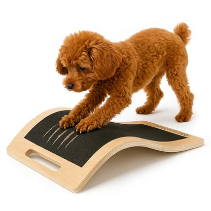 Dog Scratch Board for Nails – Dog Nail Scratch Pad with 2 Extra Sandpapers & Training Guide – Safe Dog Nail File Board for Natural Trimming – Dog Nail Board for All Sizes (Small 15.7in * 9.8in) - size: Small (15.7in * 9.8in)