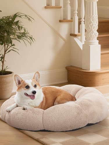 OhGeni 31 inches Calming Donut Orthopedic Dog & Cat Bed for Medium Pets, Warming Comfort Fluffy Short Pile Fur, Durable Waterproof Machine Washable Removable Cover, Cute Round Bed for Puppy, Cream - color: 6-Cream, size: L (31"L x 31"W x 9"Th)