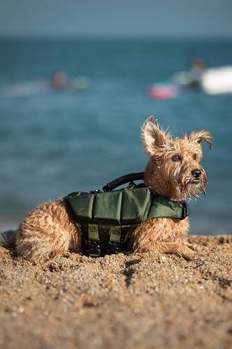 NOAH & PAW Dog Life Jacket, Human Standards Lifejacket Design, Dog Life Vest for Swimming and Boating, 3X Foam Support for Max Floating, Breathable Mesh, Salvavidas para Perros, Size S - size: S