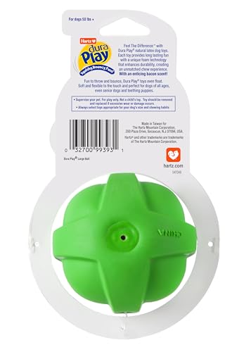 Hartz DuraPlay Bacon Scented Dog Toys, Large 1 Count, Colors May Vary (Pack of 2) - size: 2 Count, style: Large Ball