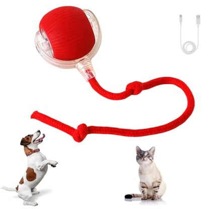 Interactive Cat Toys for Indoor Cats, 360° Automatic Moving Cat Ball, Rechargeable Rolling Ball, Toys for Indoor Interactive Kitten and Dog, Red