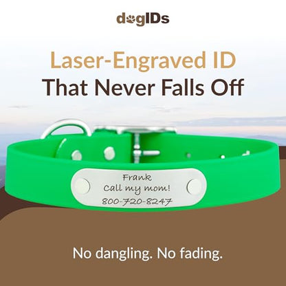 dogIDs Personalized Dog Collar – Custom Waterproof Soft-Grip Biothane with Laser-Engraved Nameplate, Durable & Odor-Resistant, USA Made | Bright Green, 1 in x 16 in (Fits Necks Size 14-18 in) - color: Bright Green, size: 1 in x 16 in (Fits Necks Size 14-1