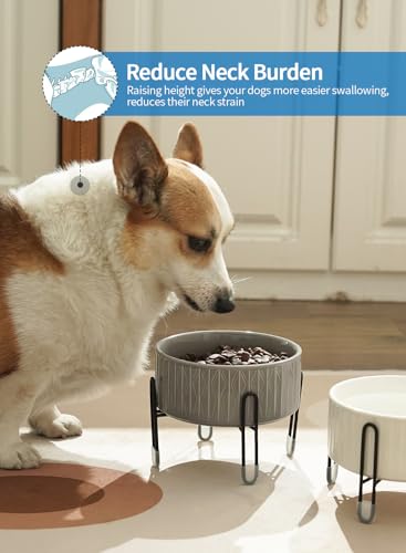 32 oz Ceramic Dog Cat Bowls with Elevated Metal Stand, 2 Heights Elevated, 6.5 Inch Ceramic Round Pet Food and Water Feeder Bowl Dish for Cats & Dogs, White & Grey - color: White & Grey