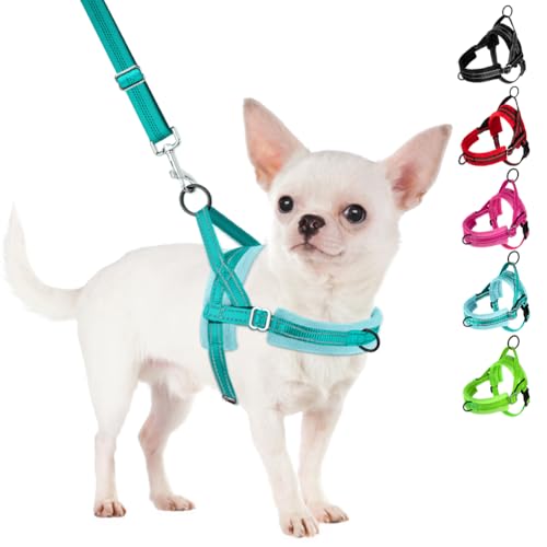 SlowTon No Pull Small Dog Harness and Leash Set, Puppy Soft Vest Harness Neck & Chest Adjustable, Reflective Lightweight Harness & Anti-Twist Pet Lead Combo for Small Medium Dogs(BL-Front Clip,XXS) - color: B-Teal - With Front Clip, size: XX-Small