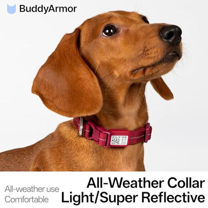 All-Weather Dog Collar Reflective Adjustable Soft Nylon QR Code Anti-Lost Collar Breathable with Quick-Release Buckle Patent Alloy Ring for Small Medium Large Dog (Light-Burgundy, M) - color: Light-Burgundy, size: M