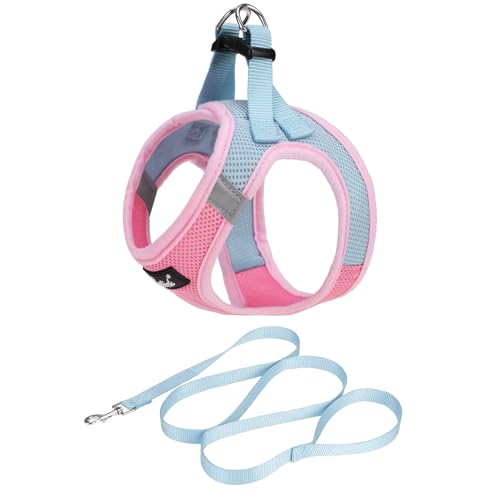 PUPTECK Dog Harness and Leash Set for Small Medium Dogs No Pull Step-in Soft Mesh Puppy Cat Vest Harnesses Reflective at Night, Pink & Blue, M - color: #1 Pink & Blue, size: M(CHEST 16"-18", 11-18 lbs)