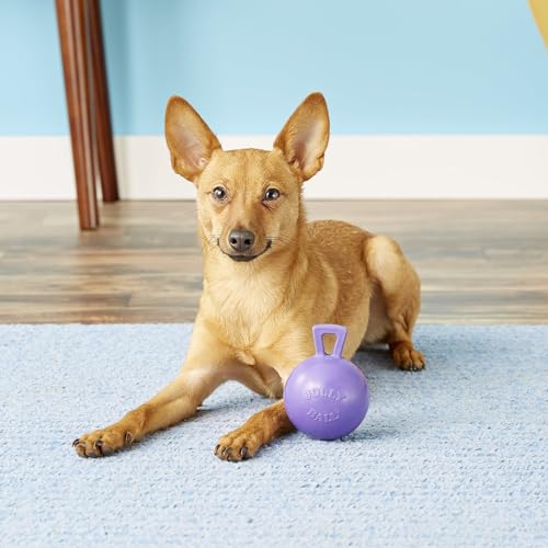 Jolly Pets Tug-n-Toss Heavy Duty Dog Toy Ball with Handle, 4 Inches/Petite, Purple (404 PR) - color: Purple, size: 4 inches/Petite