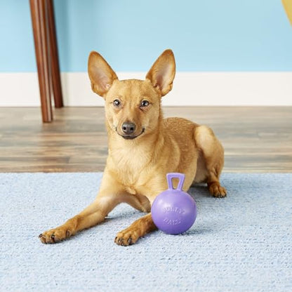 Jolly Pets Tug-n-Toss Heavy Duty Dog Toy Ball with Handle, 4 Inches/Petite, Purple (404 PR) - color: Purple, size: 4 inches/Petite