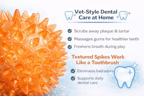 Squeaky Spiky Dog Ball for Teeth Cleaning & Gum Massage 2.5 Inch Small Medium Dogs Orange | Spiny TPR Rubber Chew Toy for Fetch Play Interactive Bouncy Dental Ball Durable BPA Free Nontoxic Floats - size: Orange, 2.5" 1 - Pack