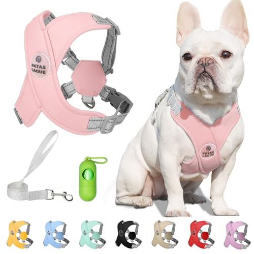 Dog Harness with Leash Set Adjustable Soft Padded Step-in Dog Vest No Choke No Pull Reflective for Small Pets with Poop Bags and Dispenser, Solid and No-chew, Pink XS - color: Pink, size: XS (Neck 16-19.1'' Chest 18.8-21.5'')