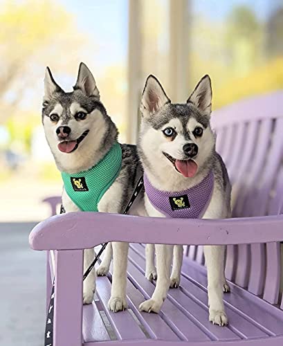 EcoBark Lavender Dog Harness - Eco-Friendly Max Comfort Harnesses - Luxurious Soft Mesh Halter - Over the Head Harness Vest- No Pull and No Choke - color: Lavender Purple