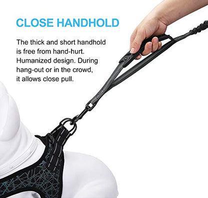 6FT Highly Reflective Heavy Duty Elastic Bungee Medium and Large Dog Leash Shock Absorbing with Comfortable Padded Handle and Traffic Handle Suitable for Training Grey - color: Grey