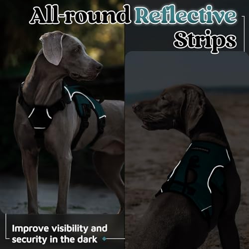 rabbitgoo Escape Proof Dog Harness Medium, Soft Padded Full Body Pet Harness, Reflective Adjustable No Pull Vest with Lift Handle and Leash Clip for Walking Hiking Training, Dark Green, M - color: Dark Green, size: Medium (Pack of 1)