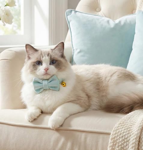Personalized Velvet Cat Collar with Bell, Custom Engraved Name and Phone Number, Adjustable Luxury Kitten Collar, Non-Breakaway Secure ID Collar for Cats and Kittens - color: Light Blue, size: L