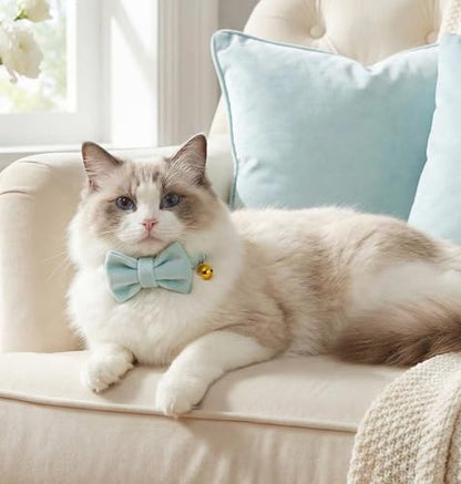 Personalized Velvet Cat Collar with Bell, Custom Engraved Name and Phone Number, Adjustable Luxury Kitten Collar, Non-Breakaway Secure ID Collar for Cats and Kittens - color: Light Blue, size: L