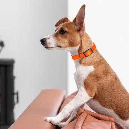 Dogline Biothane Waterproof Dog Collar Strong Coated Nylon Webbing with Black Hardware Odor- Proof for Easy Care Easy to Clean High Performance Fits Small Medium or Large Dogs, Hunter Orange