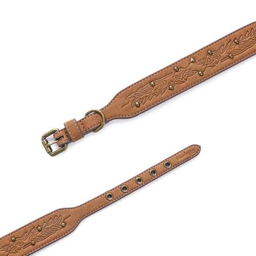 Blueberry Pet Premium Embossed Silver-Powered Freshness Microfiber Suede Leather Dog Collar in Saddle Brown - color: Saddle Brown, size: Small