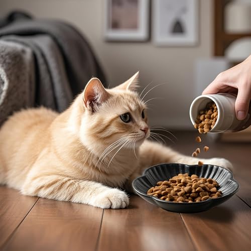 Cat Food Bowls, Ceramic Cat Plates, Dish for Food, Water and Snack, 4.72 Inch, Indoor and Outdoor Use, Kitten Puppy and Small Animals Bowls Set of 3 (Black) - color: black