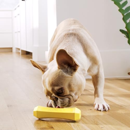 Playology Dog Toys | Squeaky Chew Stick for Dogs | Chicken Scented Medium Fetch Toy | Squeaky Dog Chew Toy - size: Medium, style: Chicken
