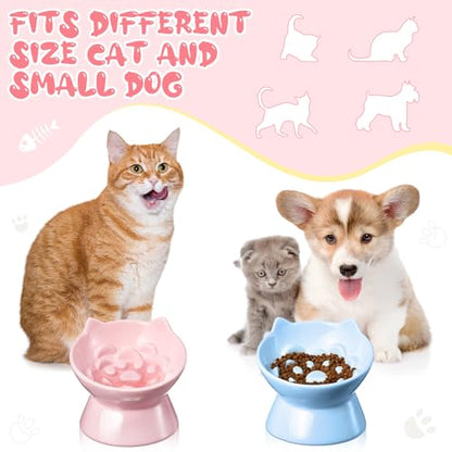 Funnymoom 2 Pcs Ceramic Raised Slow Feeder Cat Bowl, 5.91inch Elevated Cat Slow Feeder Bowl Tilted Anti Vomiting for Dry Wet Food and Water Easy to Clean High Edge(Pink, Blue) - color: Pink, Blue